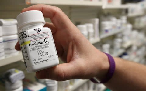 A pharmacist holds a bottle OxyContin made by Purdue Pharma at a pharmacy in Provo, Utah - Credit: George Frey/Reuters