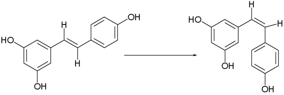 At low concentrations, the trans form of resveratrol, left, can switch to the cis form, right. <a href="https://commons.wikimedia.org/wiki/File:Rasveratrol_isomerization.png" rel="nofollow noopener" target="_blank" data-ylk="slk:V8rik/Wikimedia Commons;elm:context_link;itc:0;sec:content-canvas" class="link ">V8rik/Wikimedia Commons</a>, <a href="http://creativecommons.org/licenses/by-sa/4.0/" rel="nofollow noopener" target="_blank" data-ylk="slk:CC BY-SA;elm:context_link;itc:0;sec:content-canvas" class="link ">CC BY-SA</a>