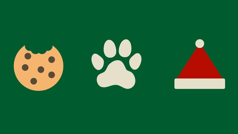 Cookies, Paws and Santa Claus at Buttonwood Park Zoo on December 11, 12, 18, 19.