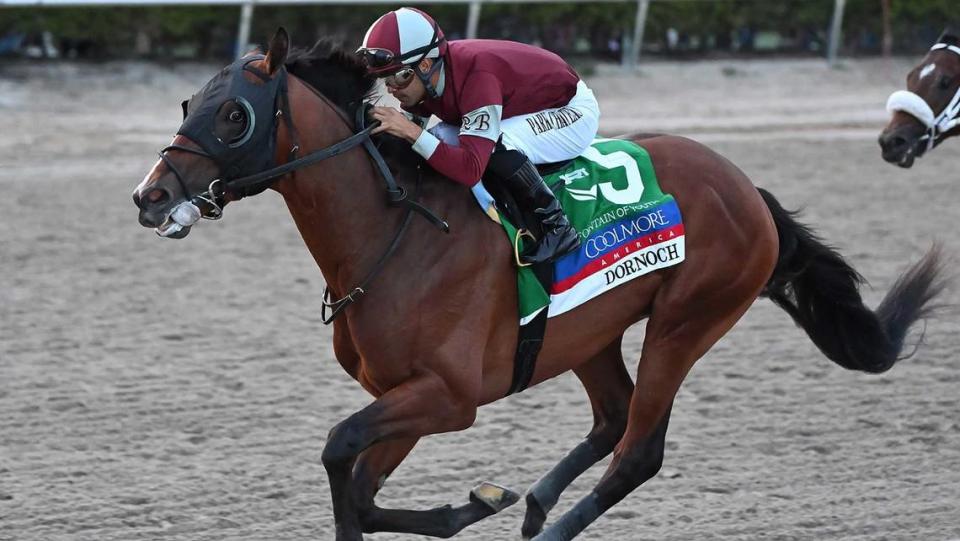 Dornoch, with Luis Saez aboard, won the $400,000, Grade 2 Fountain of Youth Stakes in March at Gulfstream Park. Dornoch has morning-line odds of 3-1 for Saturday’s Blue Grass Stakes at Keeneland.