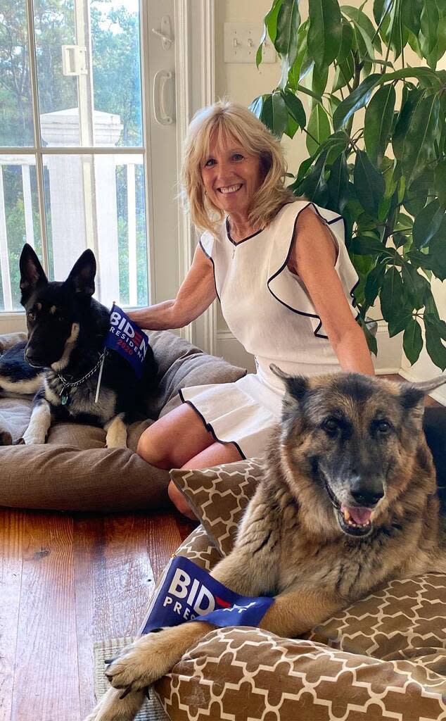 Jill Biden, Biden Family, Dogs, Champ, Major