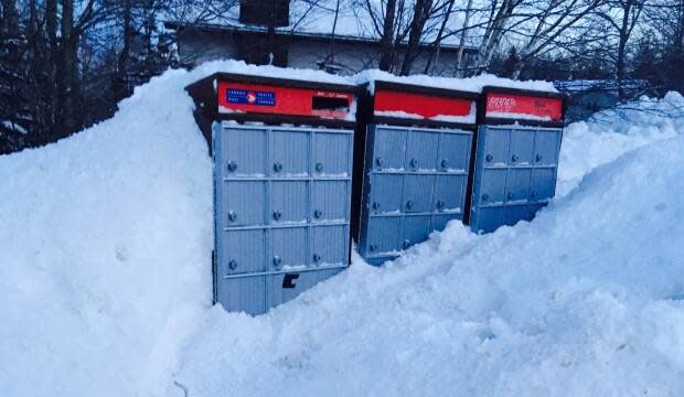 Carroll says it can sometimes take days for snow to be cleared from community mailboxes, meaning people living with a physical disability, like her, might not be able to send their ballots by the deadline if there's a storm.