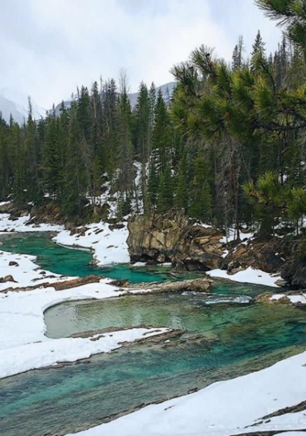 Yoho National Park located in the British Columbia wilderness. Source: @irereen