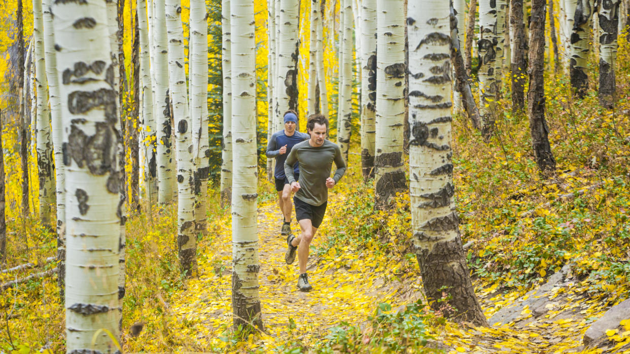  Two trail runners in Vail during fall foliage. 