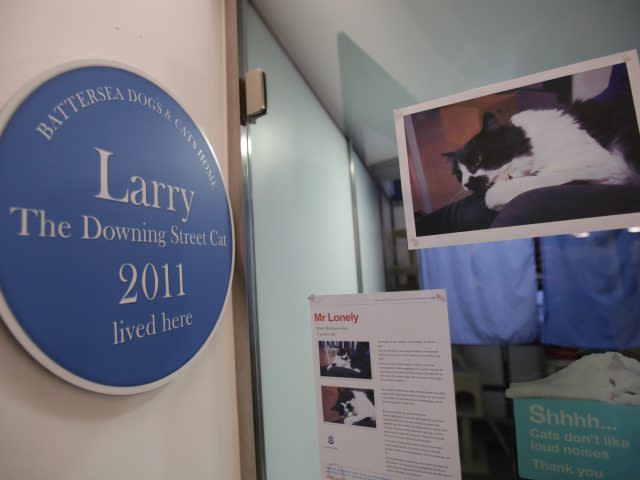 Plaque marking the rehoming to Downing Street of Larry the cat 