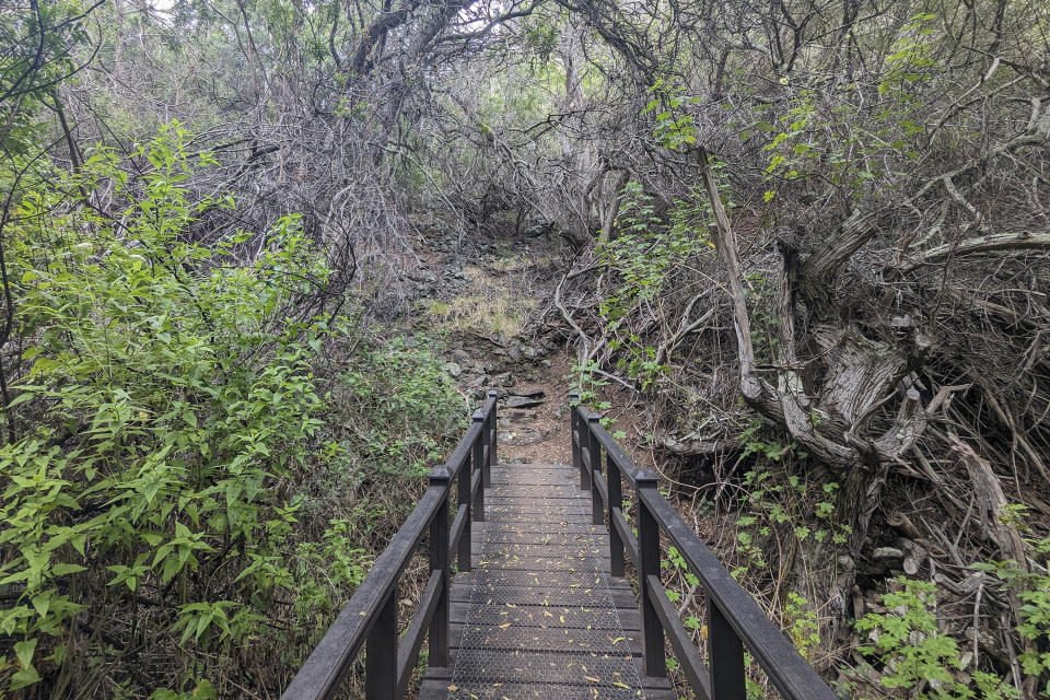 A wooden bridge leading to the Heart Shaped Waterfall on the island of St. Helena on Feb. 21, 2024. The trek is one of the remote territory’s 21 scenic hiking trails of varying difficulty. (AP Photo/Nicole Evatt)