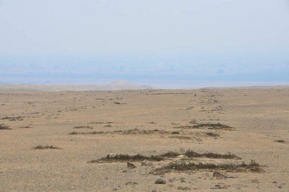 Researchers have found about 50 of these stone lines, the longest of which runs close to nearly 1 mile (1,500 meters). Many of these lines point to nearby settlements and their pyramids. The lines date to somewhere between 500 B.C. and A.D. 400