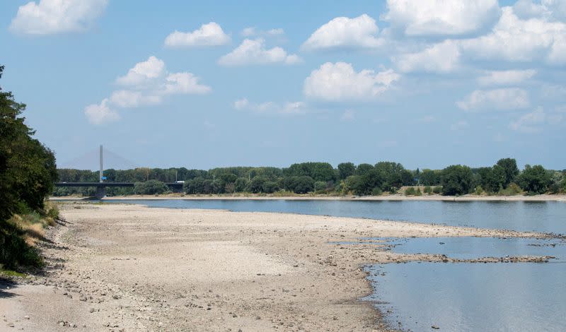 FILE PHOTO: Drought means low water levels in Rhine