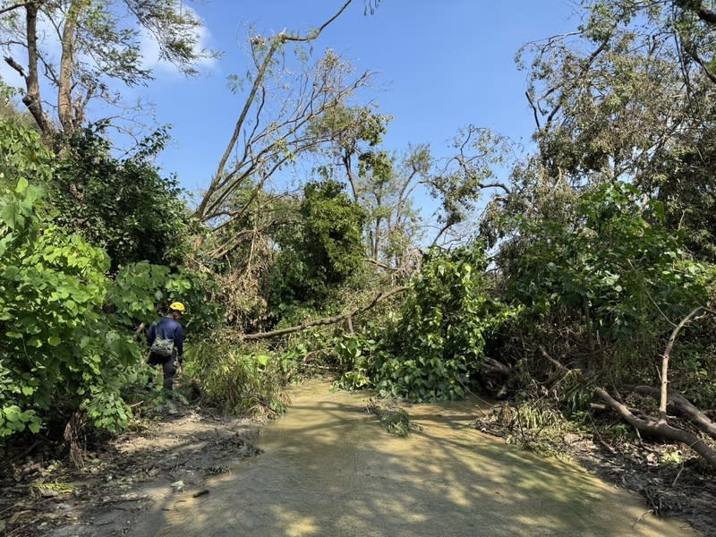 高雄壽山國家公園登山 7旬翁疑摔落邊坡身亡 高雄市政府消防局獲報，75歲林姓男子5日獨自到壽 山國家自然公園登山，自元亨寺附近入山後走失，經 救難人員協尋，6日下午於南壽山停車場附近尋獲疑 似摔落邊坡、明顯死亡林男。 （高雄市政府消防局提供） 中央社記者張已亷傳真  113年10月6日 