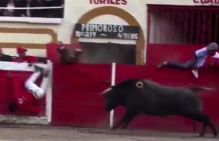 One man was tossed over the barrier before being attacked by the other animal (Picture: NTR TOROS / Charly Lara)