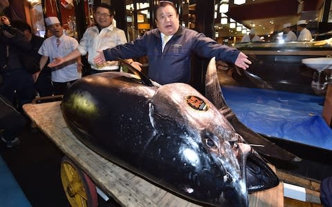 President of restaurant chain Sushi-Zanmai, Kiyoshi Kimura, displays the 278kg bluefin tuna - Credit: KAZUHIRO NOGI/afp