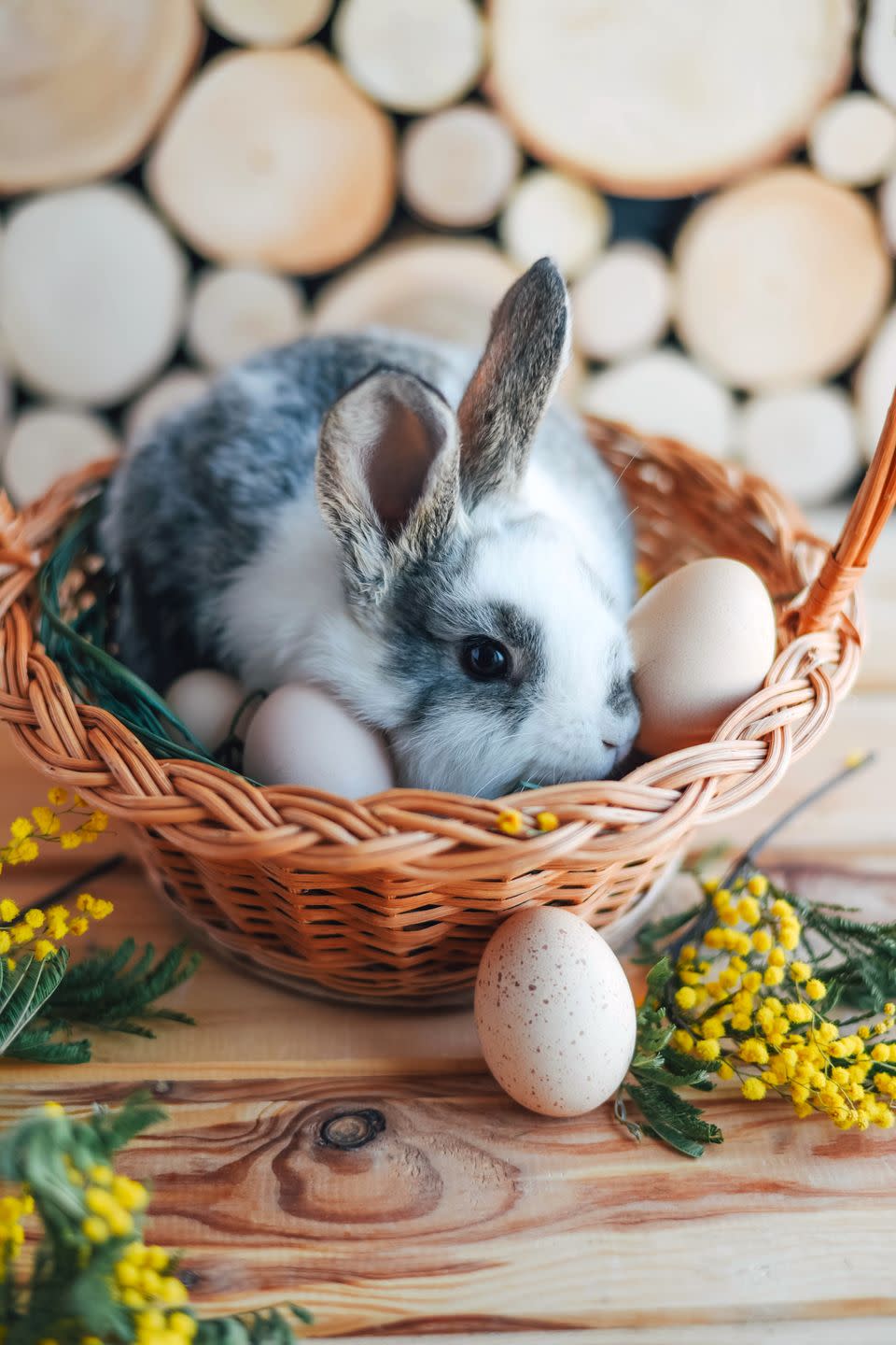 gray and white rabbit in a basket on a wooden background