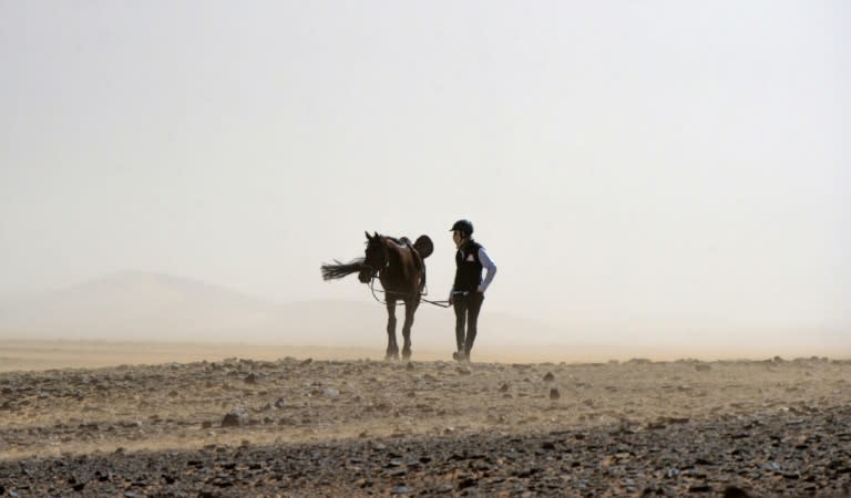 A rider competes during the "Gallops of Morocco" equestrian race in the Merzouga are of the southern Moroccan Sahara desert on March 1, 2018