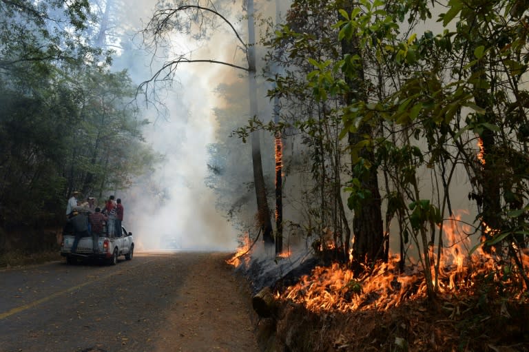Unos bomberos voluntarios luchan contra un incendio en la comunidad de Pinal, en México, el 6 de mayo de 2024 (Mario Vázquez)