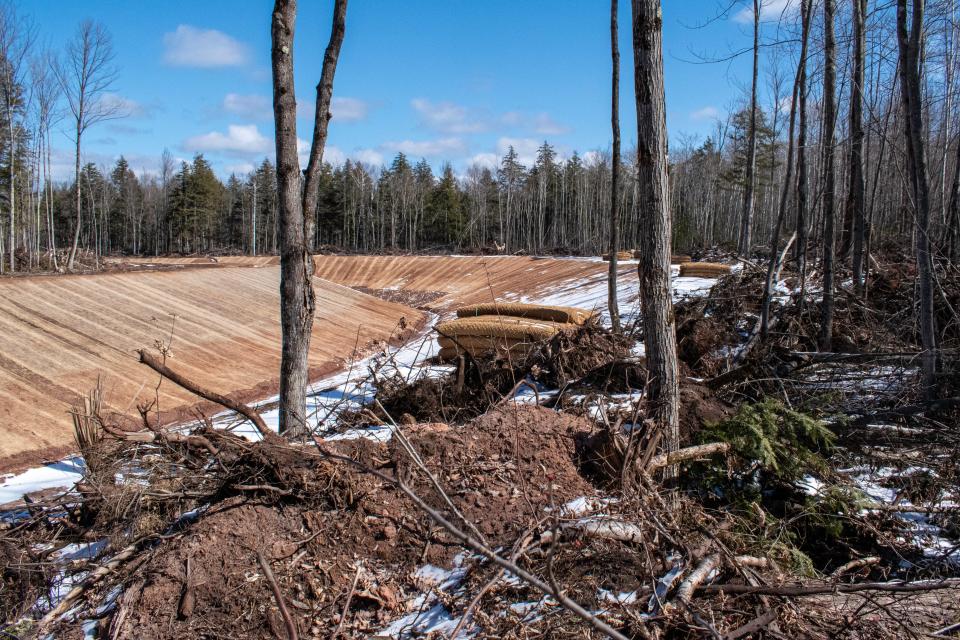 Highland Copper, the Canadian company behind the Copperwood Mine, began site preparations last year, cutting down forests and rerouting streams. This site, which will become home to the tailings facility, is just off the North Country Trail, which recently received designation under the national park system.