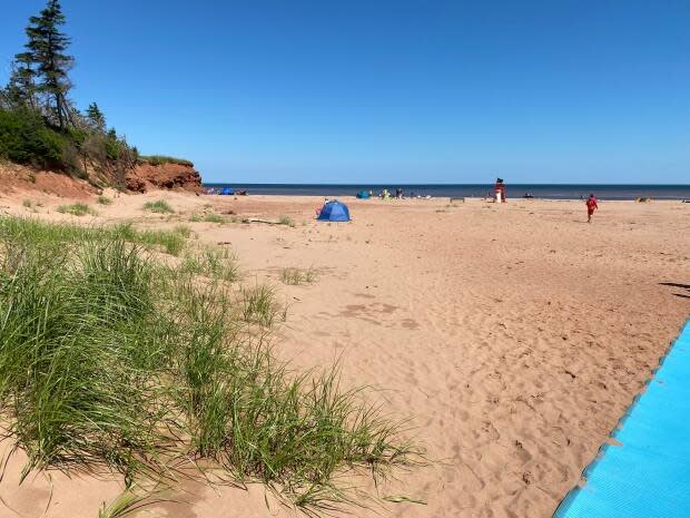 Cabot Beach had been closed to swimmers since last summer.  (Kirk Pennell/CBC - image credit)