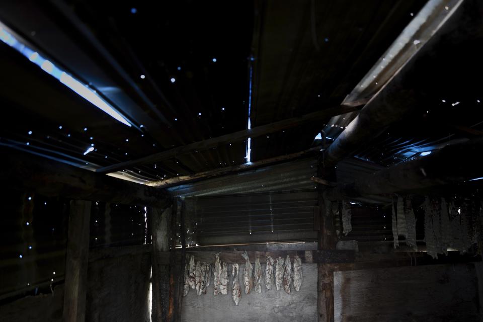 Dried salmon hang inside a fish camp site, Friday, Aug. 18, 2023, in Akiachak, Alaska. (AP Photo/Tom Brenner)