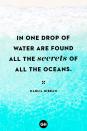 <p>In one drop of water are found all the secrets of all the oceans.</p>