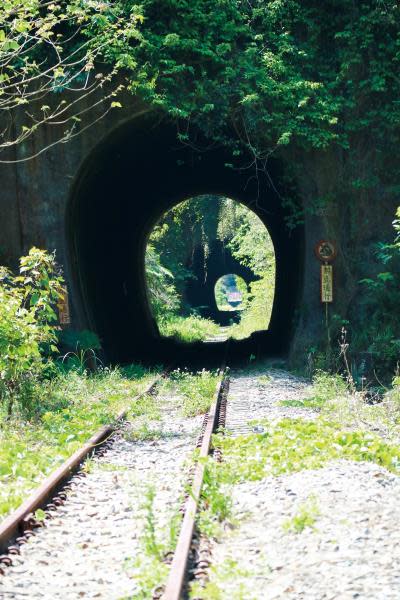舊山線連續隧道群（圖片來源：苗栗文化觀光旅遊網）