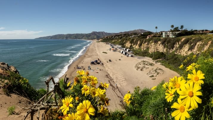 Affordable Housing Mogul Pays Nearly $40 Million For Malibu Mansion