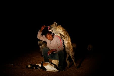 Abbas Yusuf, 23, known as Hyena Man, feeds hyenas on the outskirts of the walled city of Harar, Ethiopia, February 25, 2017. REUTERS/Tiksa Negeri