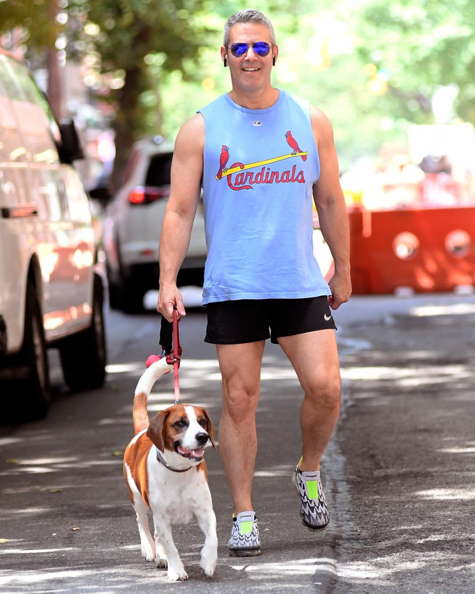 Sun's out, guns—and thighs, and perfect dog, and cool sneakers—out.