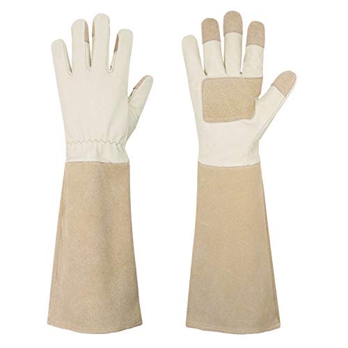 Handlandy Pruning Gloves (Amazon / Amazon)