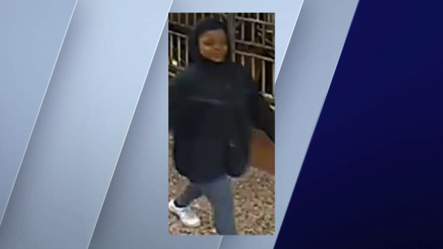Chicago police provided photos captured by surveillance cameras of six people wanted in connection with a handful of robberies on CTA trains. 
