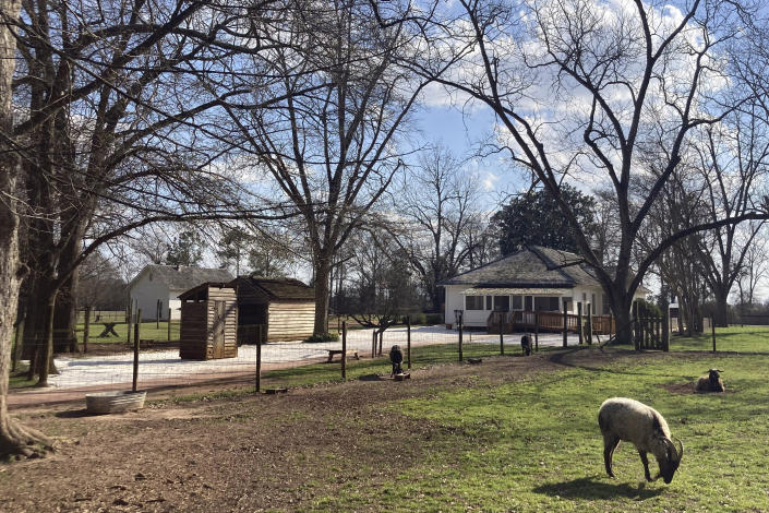 Animals graze, Wednesday, Feb. 22, 2023, outside Former U.S. President Jimmy Carter's boyhood home and farm, now a National Parks site, sits just outside Plains, Ga.,, in the community of Archery. Carter, now 98, is receiving end-of-life care at his nearby Plains home. Carter's parents settled in Archery in 1927 as one of the only white families in the nearly all-Black community. The experiences there helped form the future president's understandings of race and class. He had many Black friends and playmates but also occupied a position of privilege as the eldest son of the land-owning white family at the center of the community. (AP Photo/Bill Barrow)