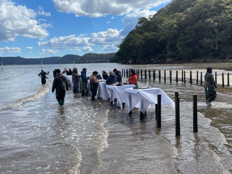 Visitors to the Sydney Oyster Farm Tour, organized by oyster farmer Sheridan Beaumont, enjoy an oyster lunch in the waters of the Hawkesbury River. Michelle Ostwald/dpa