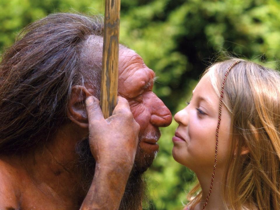 Ein Kind blickt in die Augen eines Neandertalermodells im Neanderthal Museum bei Mettmann. Wissenschaftler glauben, Beweise dafür gefunden zu haben, dass frühe europäische Menschen eine Höhle mit Neandertalern geteilt haben könnten, und vielleicht sogar eine Kultur. - Copyright: Neanderthal Museum
