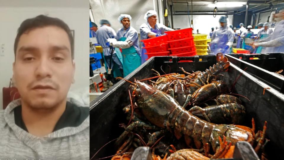 Francisco Javier Montaño de Dios says he worked seven weeks of the 17 weeks he's been in New Brunswick, and expected two more months of work at the lobster processing plant.