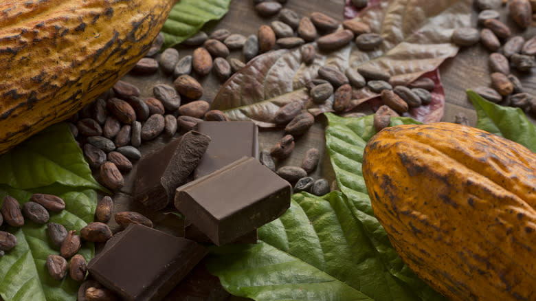 Chocolate bar with cacao beans
