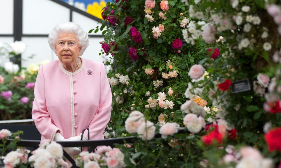 Chelsea Flower Show tickets 2019 and 2020: Dates, weather, schedule and everything you need to know