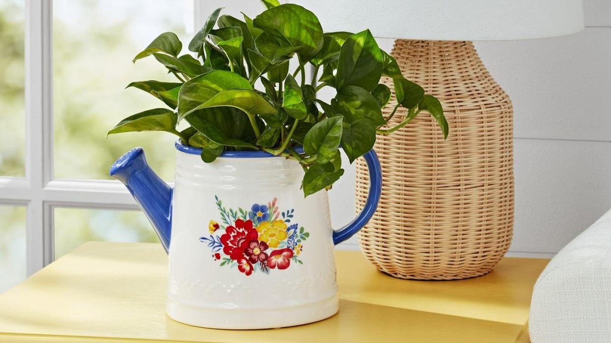 the pioneer woman watering can planter