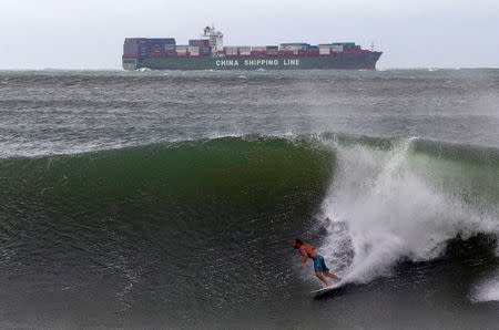 A surfer takes advantage of large waves caused by hurricane Irina which is sitting some 200 nautical miles (370 km) off Durban, March 5, 2012. REUTERS/Rogan Ward/File Photo