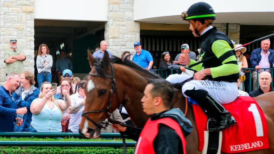 The Keeneland paddock is a popular place for race fans to take pictures. General admission is $7 on Wednesday and Thursday; $10 on Friday, Saturday and Sunday. It’s $15 for opening weekend.