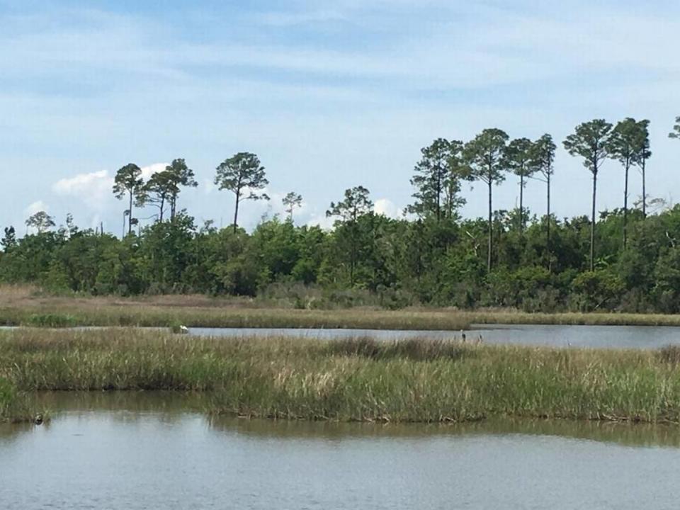 Pirate’s Alley Nature Trail at Buccaneer State Park goes through woods and offers views of tidal marshlands. Tammy Smith/Sun Herald file