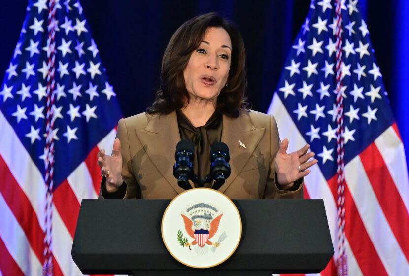 US Vice President Kamala Harris delivers remarks during the Women's Economic Participation in the Industries of the Future meeting at the Asia-Pacific Economic Cooperation (APEC) Leaders' Week in San Francisco, California, on November 16, 2023. The APEC Summit takes place through November 17. (Photo by Frederic J. Brown / AFP) (Photo by FREDERIC J. BROWN/AFP via Getty Images)