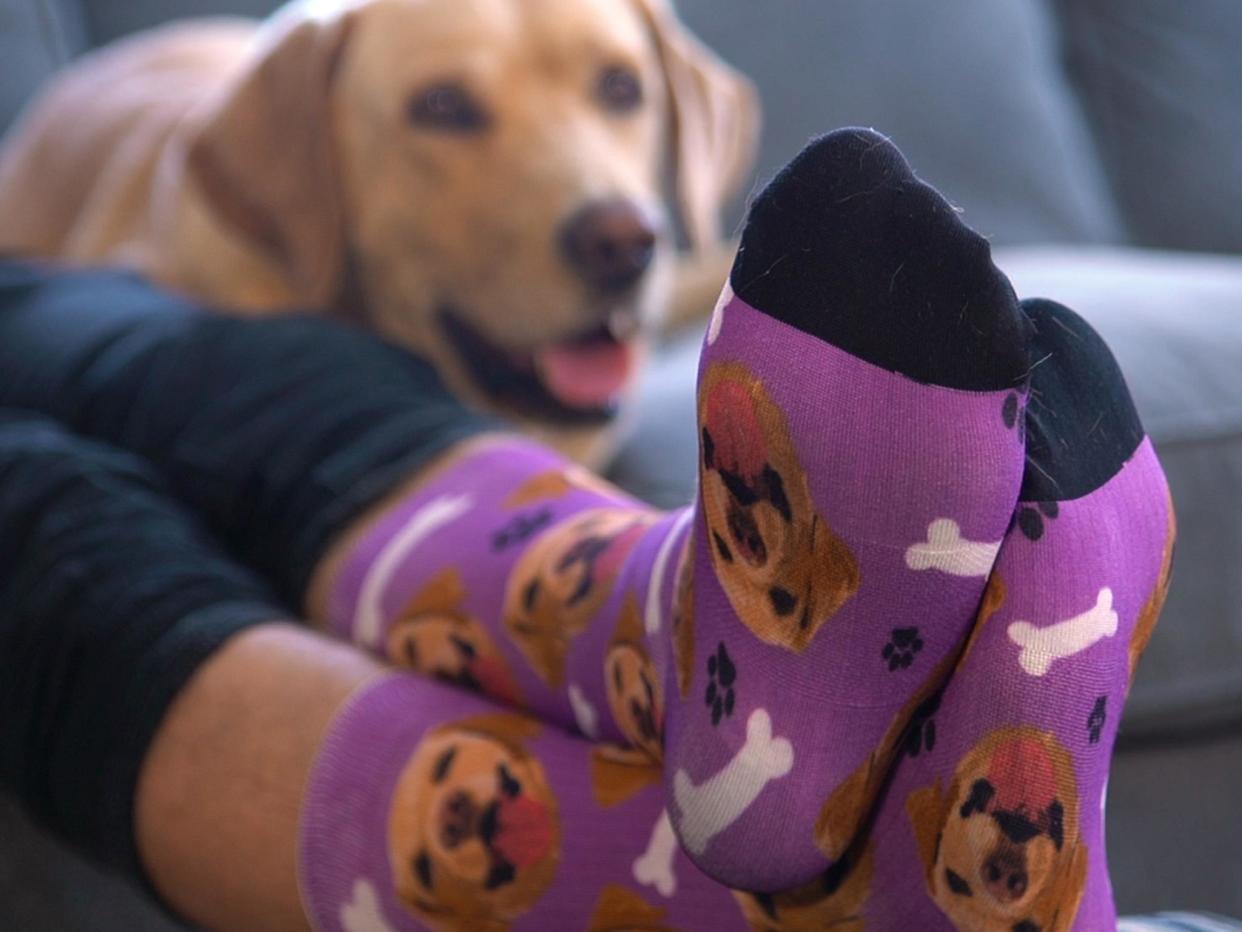 Socks are an underrated gift: Lovimals
