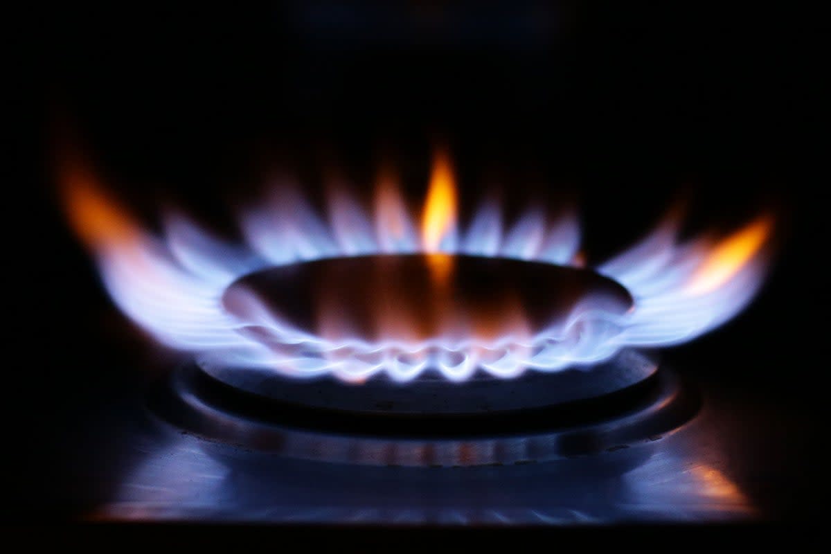 Britons are estimated to pay £173.55 per month this winter for energy, according to research (PA Wire)