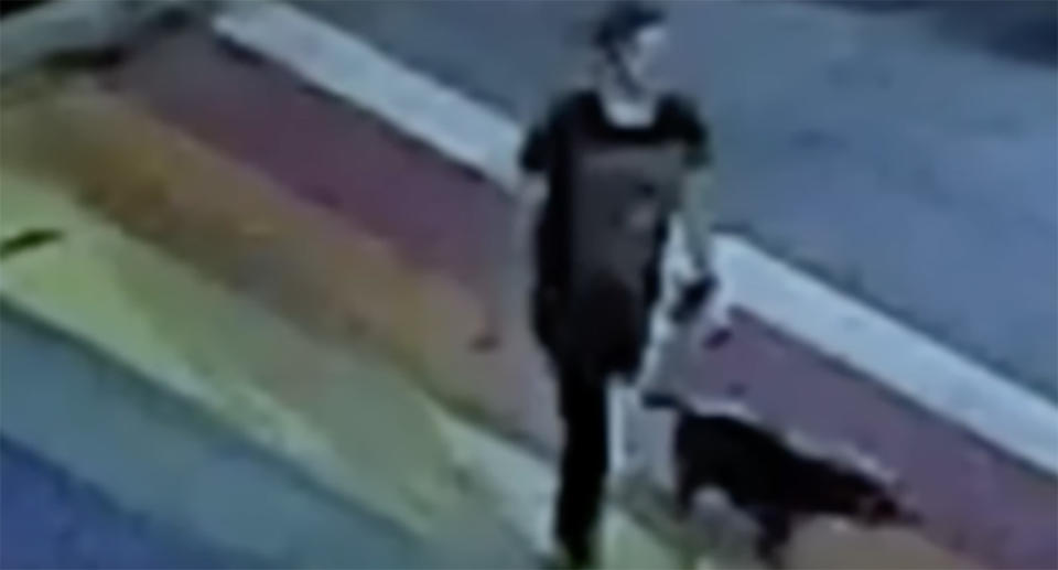 Katherine Janness, 40, is pictured walking her dog Bowie on CCTV.