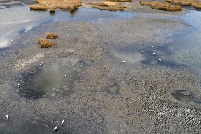 En Huarina y en los bordes del lago se ve que donde había agua ahora hay tierra seca, piedras, barro e incluso algún que otro muelle de madera que sobresale 