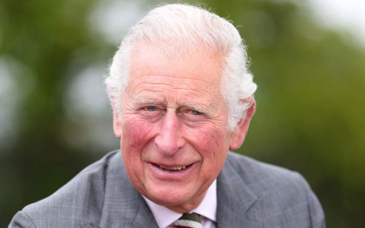 Prince Charles pictured earlier this year - Chris Jackson Collection