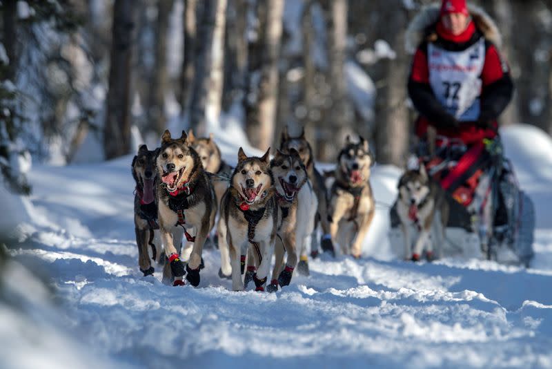 Aliy Zirkle at the beginning of the Iditarod dog sled race, in Willow