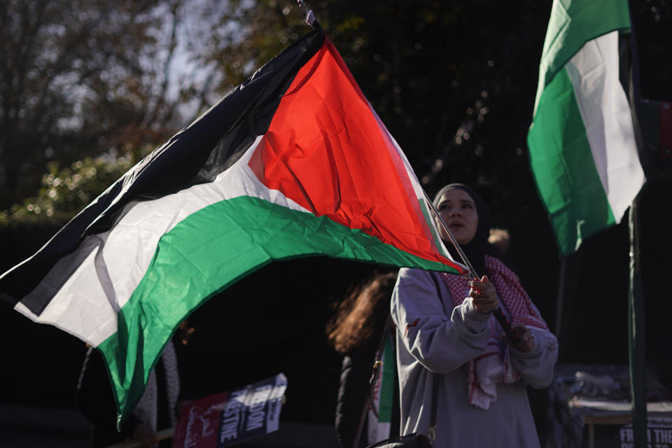 A woman holds a flags as other protesters carry placards while they take part in a pro-Palestinian demonstration in London, Saturday, Nov. 25, 2023. (AP Photo/Alberto Pezzali)