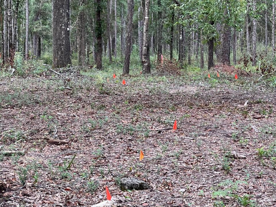 Wakulla County residents met September 27 to discuss how to find money to pay for a ground penetrating survey of 20 acres next to Richardson Family Cemetery