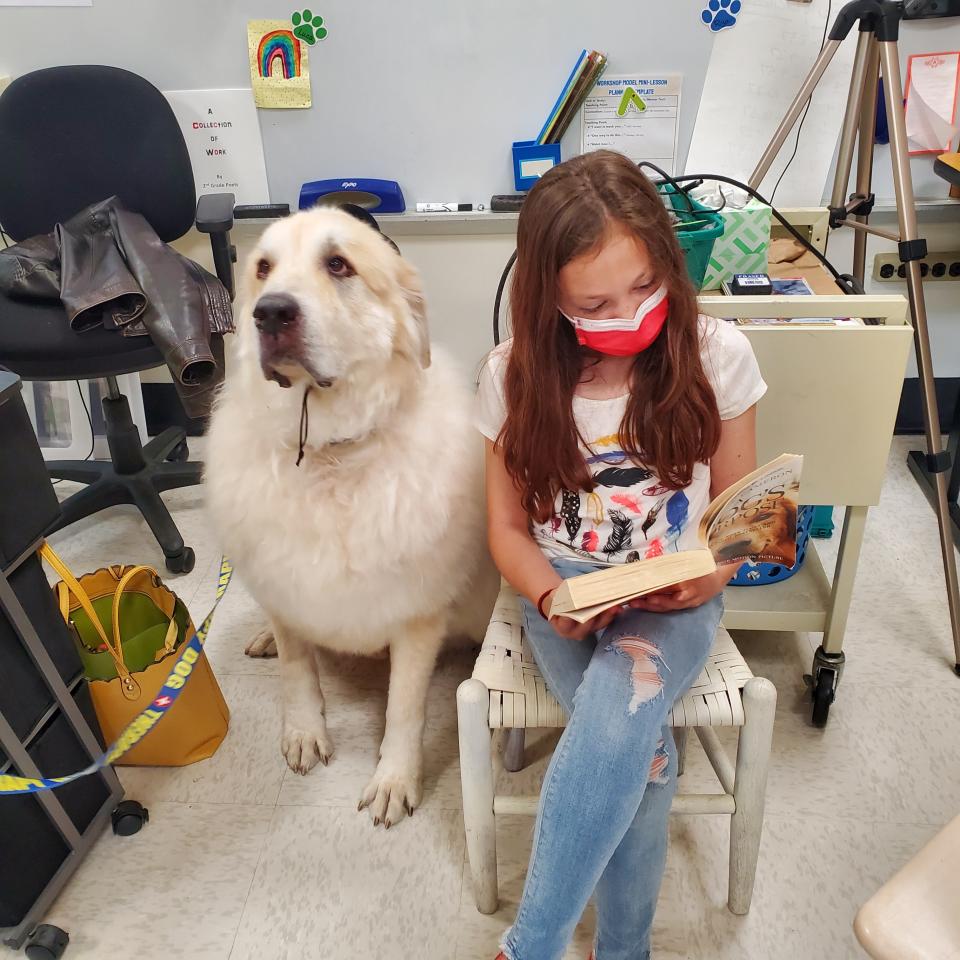 Therapy dog Tyler in a classroom in Sandyston-Walpack elementary school in Sussex County, New Jersey