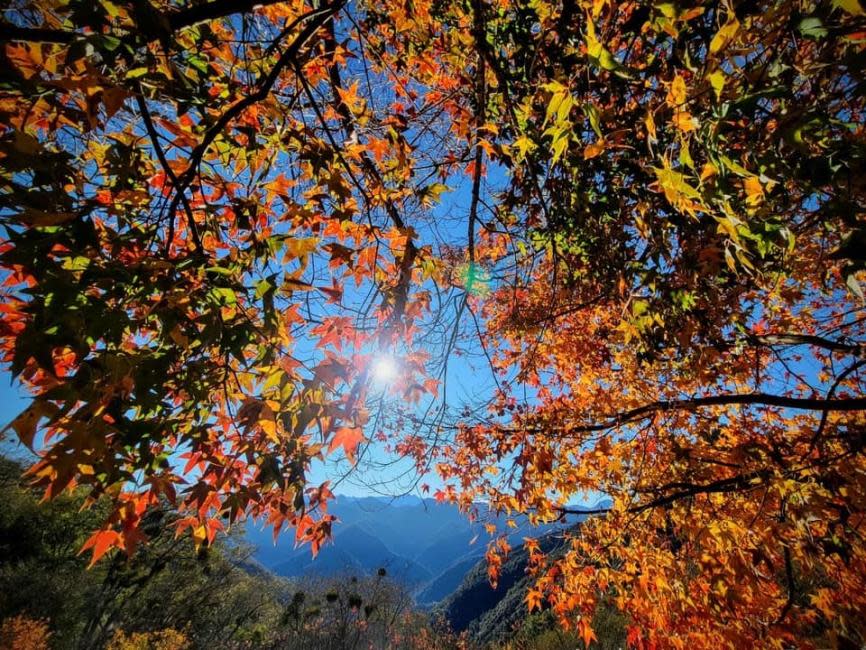 Taiwan Hsinchu Sheipa National Park & Yemakanshan Day Tour from Taipei/Taoyuan/Hsinchu. (Photo: KKday SG)