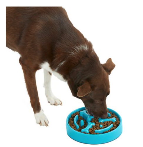 EveryYay Take It Slow White Slow Feeder Dog Bowl, 1.6 Cups